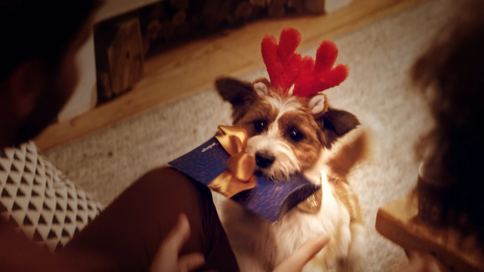 Primera Kerst